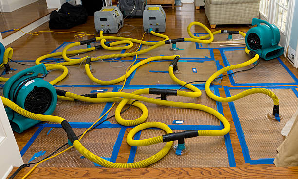Professional Water Damage Restoration technician working in Britt, IA